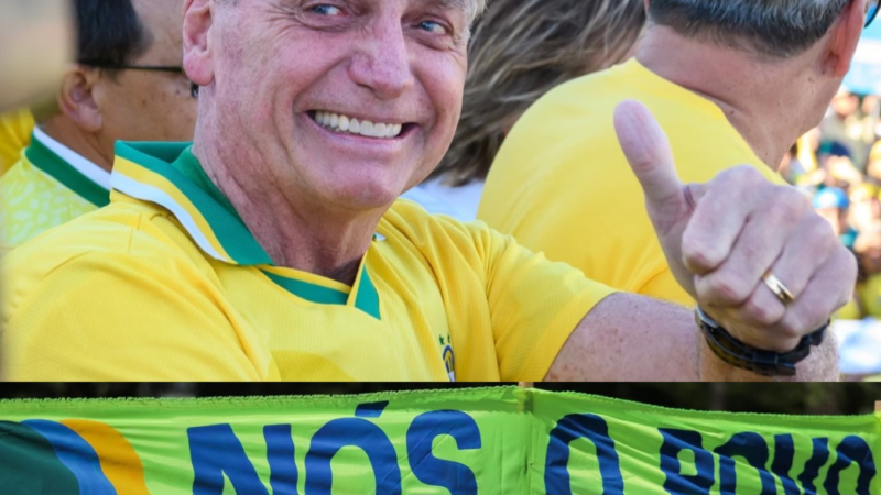 Anistia política no Brasil: pacificação ou am…Veja mais
