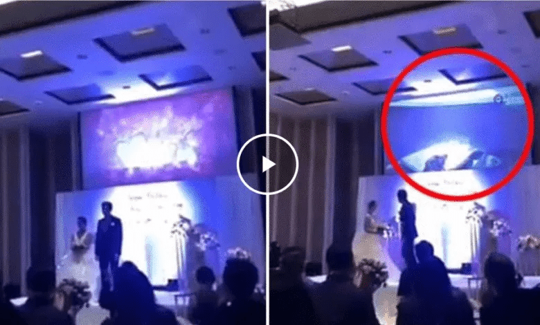 Casamento vira escândalo: noivo exibe vídeo de traição com cunhado e cancela cerim…Ver mais