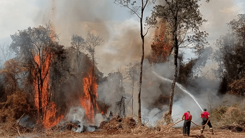 INCÊND!O DESTR0I TRANQUILIDADE EM SANTA MARIA DA FEIRA E MO…Ver mais