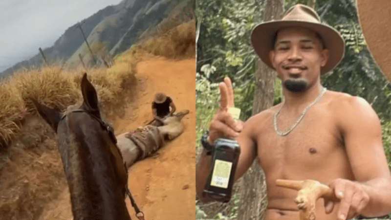 Caso do cavalo mutilado em Bananal: perícia bus…Ver mais