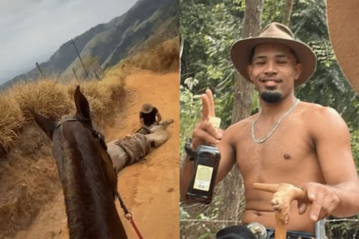 Caso do cavalo mutilado em Bananal: perícia bus…Ver mais